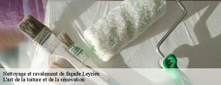 Nettoyage et ravalement de façade  38460