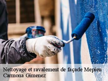 Nettoyage et ravalement de façade 38510