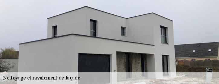 Nettoyage et ravalement de façade  38930