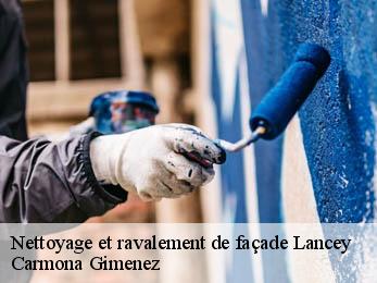 Nettoyage et ravalement de façade 38190