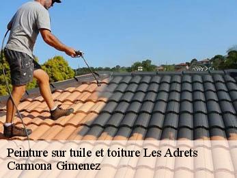 Peinture sur tuile et toiture 38190