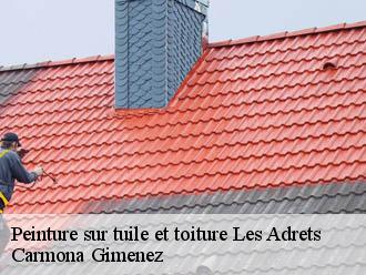 Peinture sur tuile et toiture les-adrets-38190 Couvreur Payen