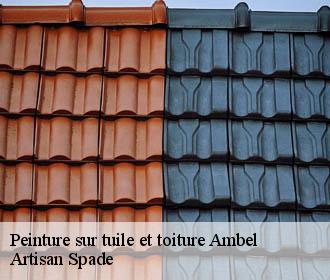 Peinture sur tuile et toiture ambel-38970 Artisan Spade