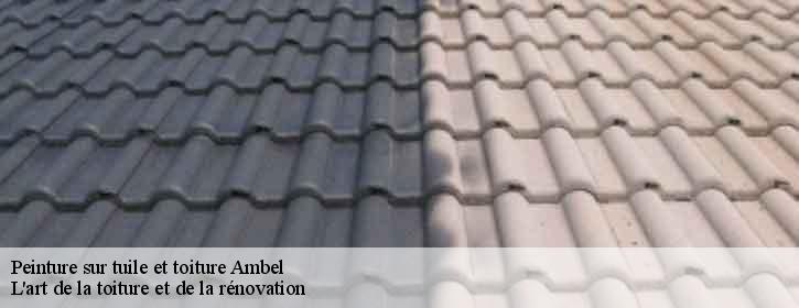 Peinture sur tuile et toiture 38970