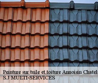 Peinture sur tuile et toiture annoisin-chatelans-38460 S.J MULTI-SERVICES