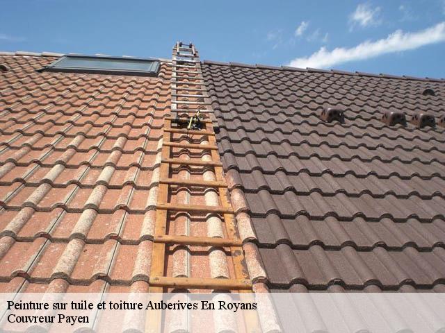 Peinture sur tuile et toiture  auberives-en-royans-38680 Couvreur Payen