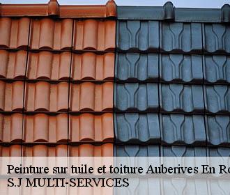 Peinture sur tuile et toiture  auberives-en-royans-38680 S.J MULTI-SERVICES