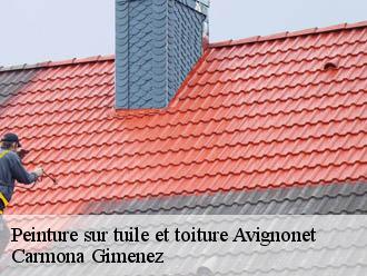 Peinture sur tuile et toiture  avignonet-38650 Couvreur Payen