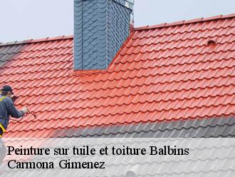 Peinture sur tuile et toiture balbins-38260 Carmona Gimenez