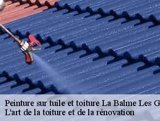 Peinture sur tuile et toiture  la-balme-les-grottes-38390 L'art de la toiture et de la rénovation