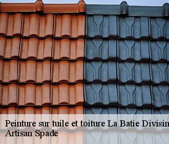 Peinture sur tuile et toiture la-batie-divisin-38490 Artisan Spade