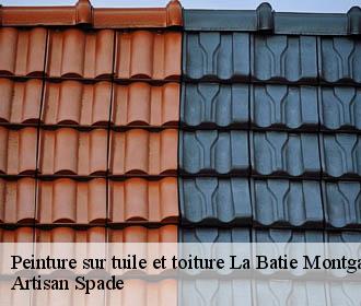 Peinture sur tuile et toiture la-batie-montgascon-38110 Artisan Spade