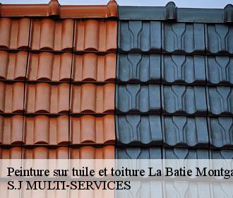 Peinture sur tuile et toiture la-batie-montgascon-38110 S.J MULTI-SERVICES