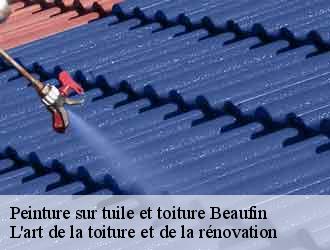 Peinture sur tuile et toiture beaufin-38970 L'art de la toiture et de la rénovation