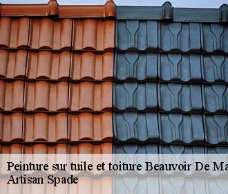 Peinture sur tuile et toiture beauvoir-de-marc-38440 Artisan Spade