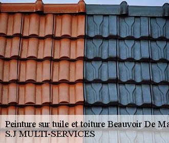 Peinture sur tuile et toiture beauvoir-de-marc-38440 S.J MULTI-SERVICES