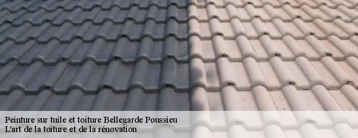 Peinture sur tuile et toiture 38270