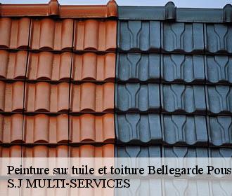 Peinture sur tuile et toiture bellegarde-poussieu-38270 S.J MULTI-SERVICES