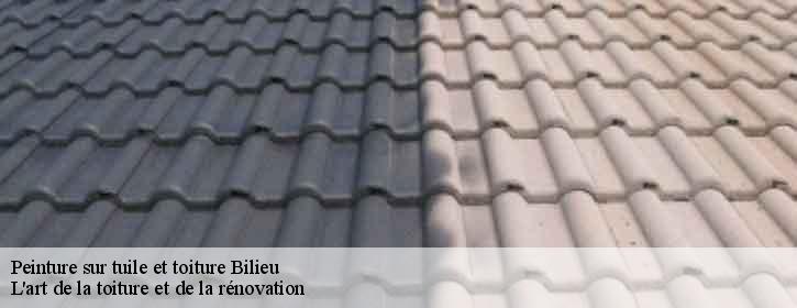 Peinture sur tuile et toiture  38850