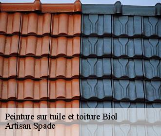 Peinture sur tuile et toiture biol-38690 Artisan Spade
