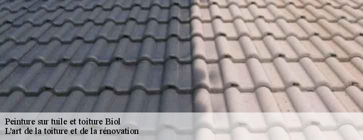 Peinture sur tuile et toiture  38690