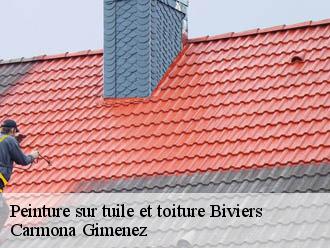 Peinture sur tuile et toiture  biviers-38330 Couvreur Payen