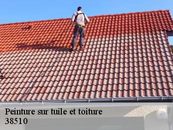 Peinture sur tuile et toiture