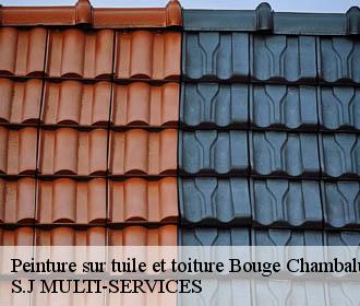 Peinture sur tuile et toiture  bouge-chambalud-38150 S.J MULTI-SERVICES