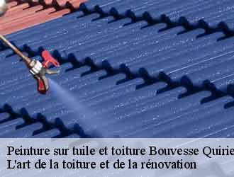 Peinture sur tuile et toiture bouvesse-quirieu-38390 L'art de la toiture et de la rénovation