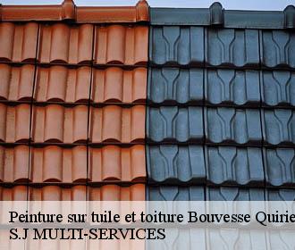 Peinture sur tuile et toiture bouvesse-quirieu-38390 S.J MULTI-SERVICES