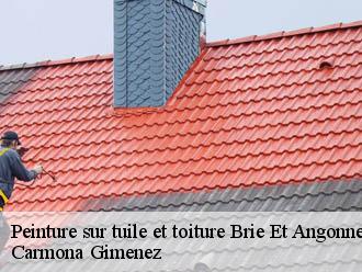 Peinture sur tuile et toiture brie-et-angonnes-38320 Carmona Gimenez