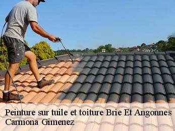 Peinture sur tuile et toiture 38320