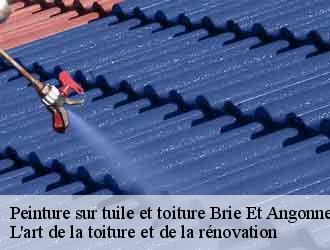 Peinture sur tuile et toiture  brie-et-angonnes-38320 L'art de la toiture et de la rénovation
