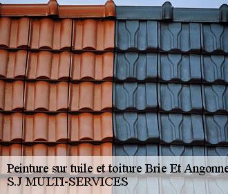 Peinture sur tuile et toiture brie-et-angonnes-38320 S.J MULTI-SERVICES