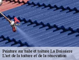 Peinture sur tuile et toiture la-buissiere-38530 L'art de la toiture et de la rénovation