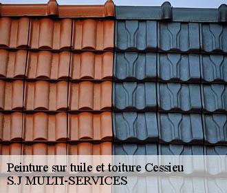 Peinture sur tuile et toiture cessieu-38110 S.J MULTI-SERVICES
