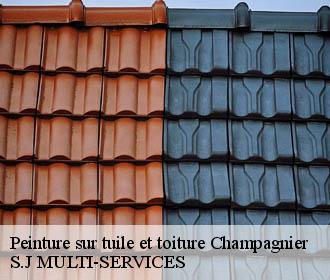 Peinture sur tuile et toiture champagnier-38800 S.J MULTI-SERVICES