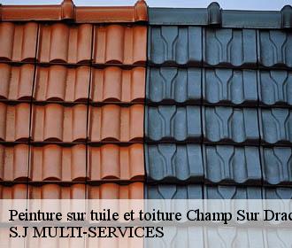 Peinture sur tuile et toiture champ-sur-drac-38560 S.J MULTI-SERVICES