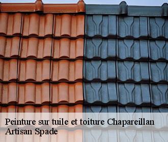 Peinture sur tuile et toiture chapareillan-38530 Artisan Spade