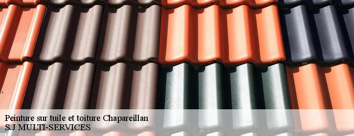 Peinture sur tuile et toiture 38530