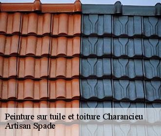 Peinture sur tuile et toiture  charancieu-38490 Artisan Spade