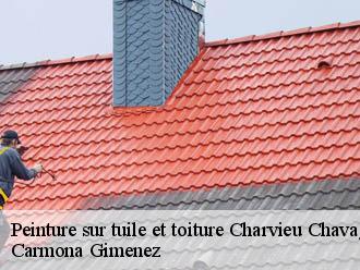 Peinture sur tuile et toiture  charvieu-chavagneux-38230 Couvreur Payen