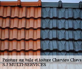 Peinture sur tuile et toiture  charvieu-chavagneux-38230 S.J MULTI-SERVICES