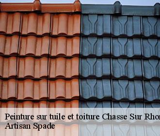 Peinture sur tuile et toiture  chasse-sur-rhone-38670 Artisan Spade