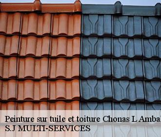 Peinture sur tuile et toiture  chonas-l-amballan-38121 S.J MULTI-SERVICES
