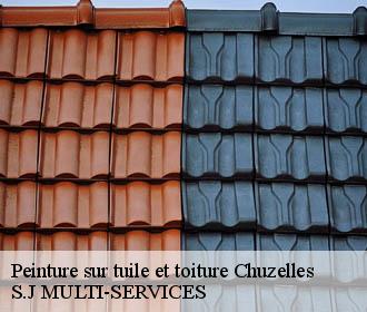 Peinture sur tuile et toiture chuzelles-38200 S.J MULTI-SERVICES