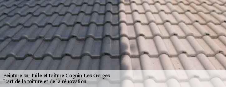 Peinture sur tuile et toiture  38470