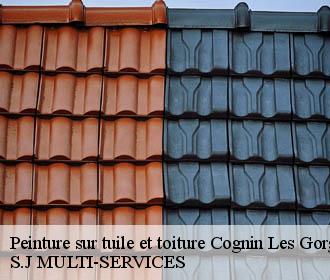 Peinture sur tuile et toiture cognin-les-gorges-38470 S.J MULTI-SERVICES