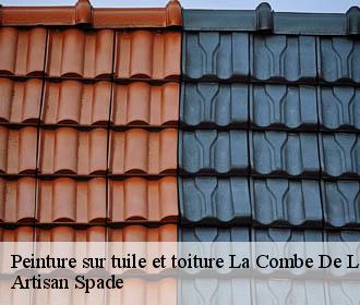 Peinture sur tuile et toiture la-combe-de-lancey-38190 Artisan Spade
