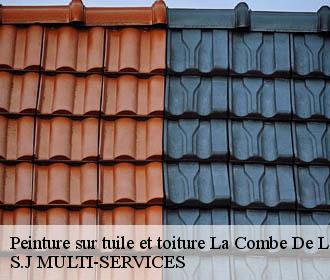 Peinture sur tuile et toiture la-combe-de-lancey-38190 S.J MULTI-SERVICES